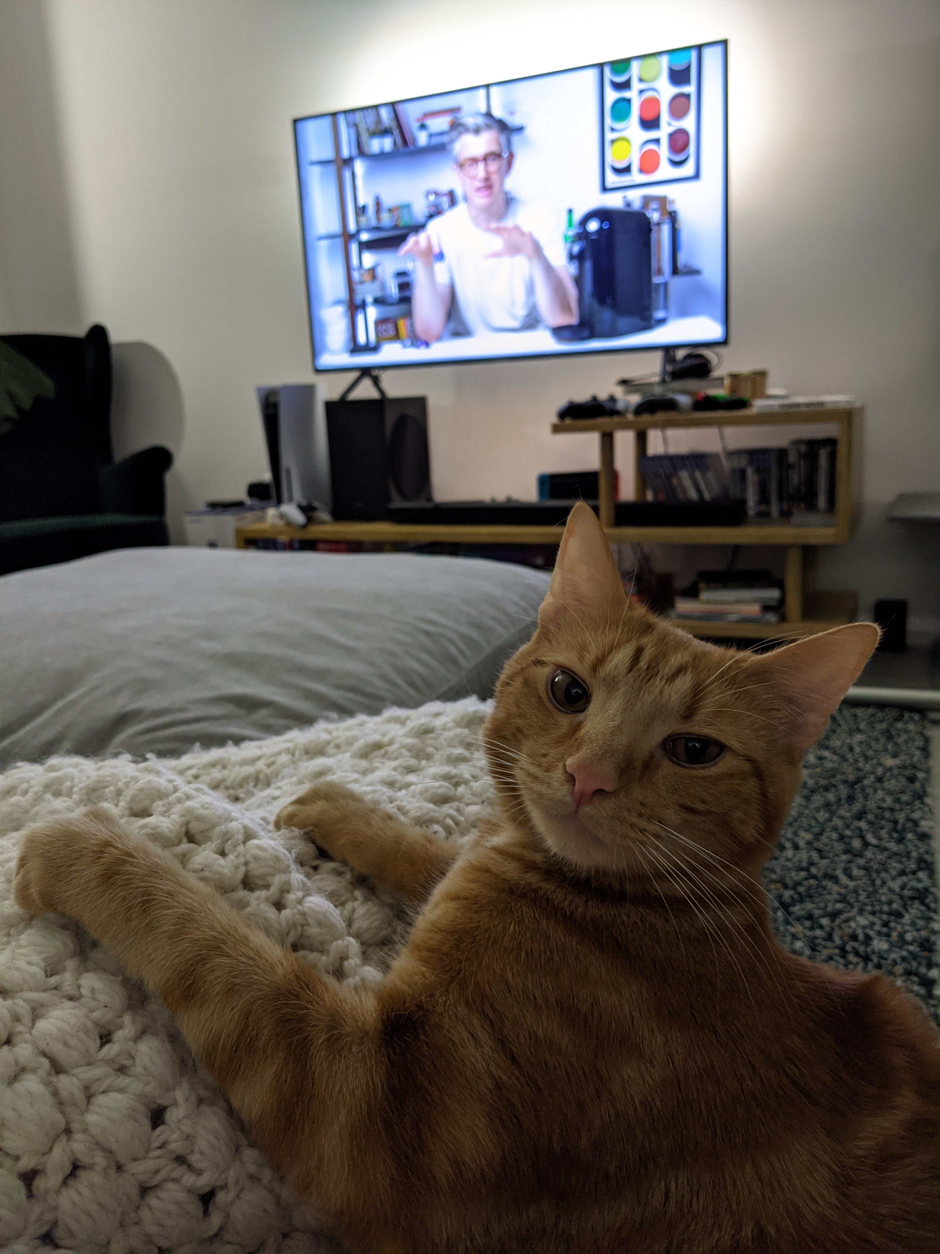 Ginger kitten laying on the couch, paws extended, looking proudly at the camera